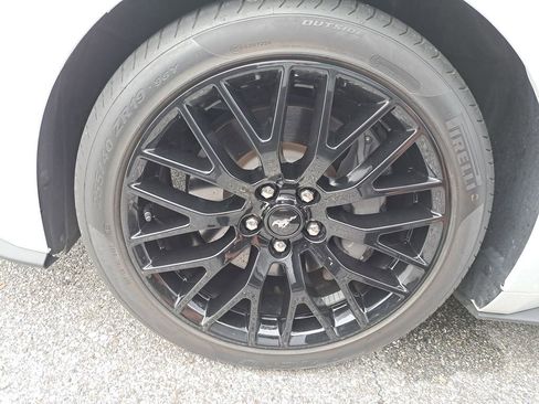 Used 2021 Ford Mustang GT Premium w/ Equipment Group 401A image 2