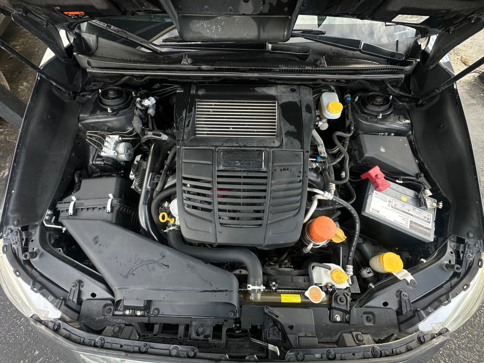 Used 2020 Subaru WRX AWD/4WD image 16