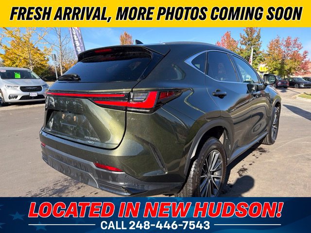 Used 2023 Lexus NX 350h AWD w/ Cold Area Package image 3