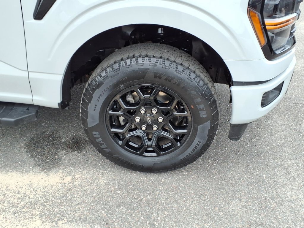 Used 2024 Ford F150 XLT w/ XLT Black Appearance Package AWD/4WD image 9