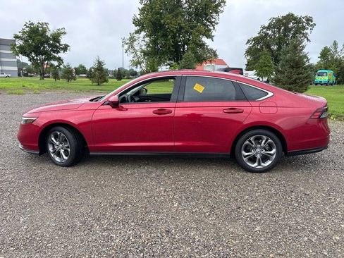 Used 2024 Honda Accord EX image 8
