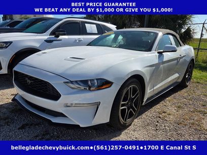 Used 2019 Ford Mustang Premium
