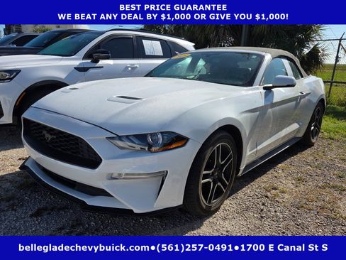 Used 2019 Ford Mustang Premium RWD image 1