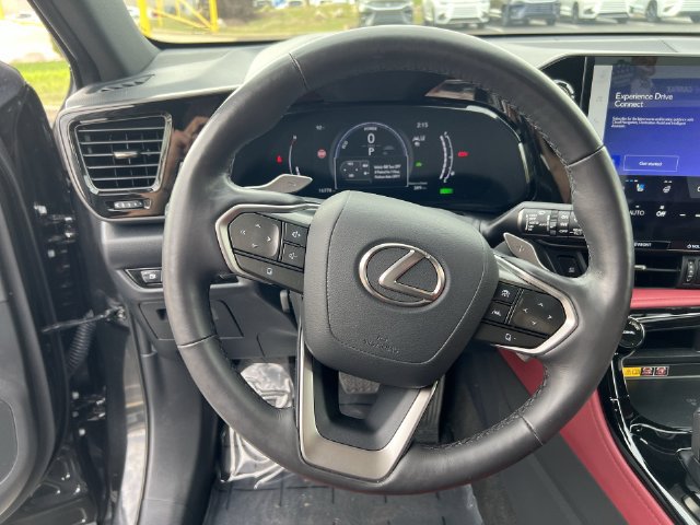 Certified 2025 Lexus NX 350h AWD w/ Cold Area Package image 12