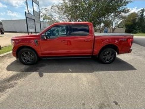 Used 2023 Ford F150 XLT w/ Equipment Group 302A High AWD/4WD image 1