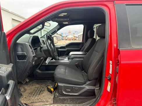 Used 2019 Ford F150 XLT w/ Equipment Group 302A Luxury AWD/4WD image 16