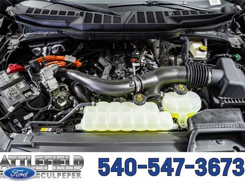 New 2025 Ford F150 XLT w/ Equipment Group 303A High image 22