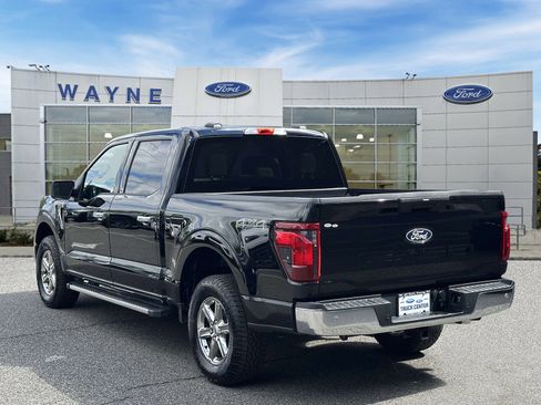 Used 2025 Ford F150 XLT w/ Equipment Group 301A Standard AWD/4WD image 4