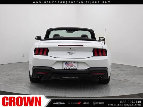 Used 2024 Ford Mustang EcoBoost image 6