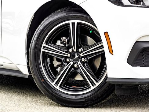 Used 2024 Ford Mustang EcoBoost image 2