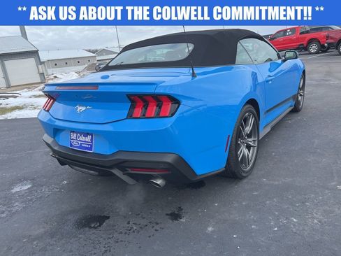 Used 2025 Ford Mustang Premium w/ Wheel & Stripe Package image 4