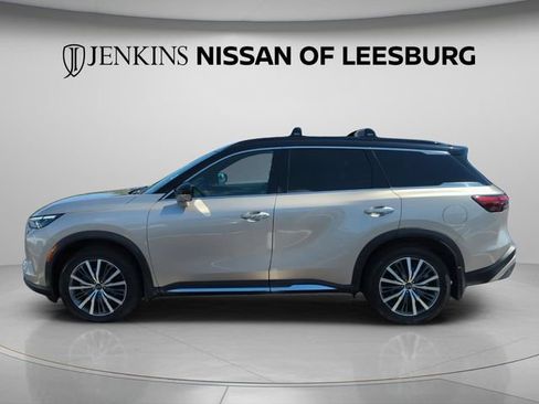 Used 2023 INFINITI QX60 Autograph w/ Cargo Package AWD/4WD image 11