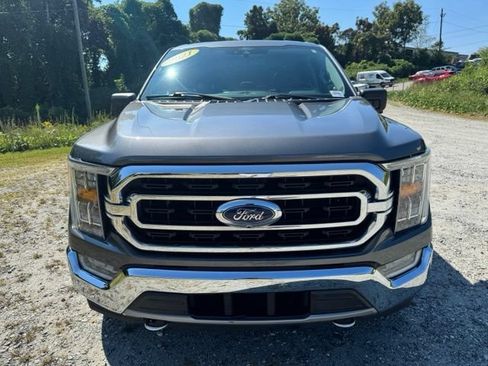 Used 2021 Ford F150 XLT w/ Equipment Group 302A High AWD/4WD image 2