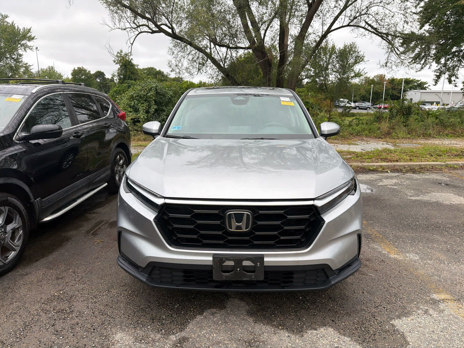 Used 2024 Honda CR-V EX image 5