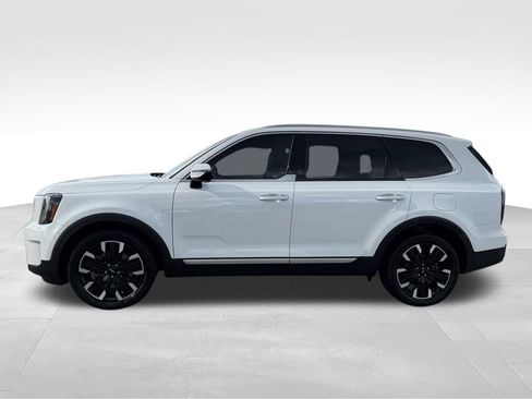 Used 2024 Kia Telluride SX AWD/4WD image 2