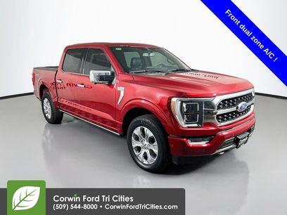 Used 2023 Ford F150 Platinum
