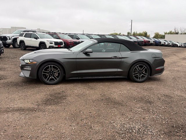 Used 2020 Ford Mustang Premium RWD image 2