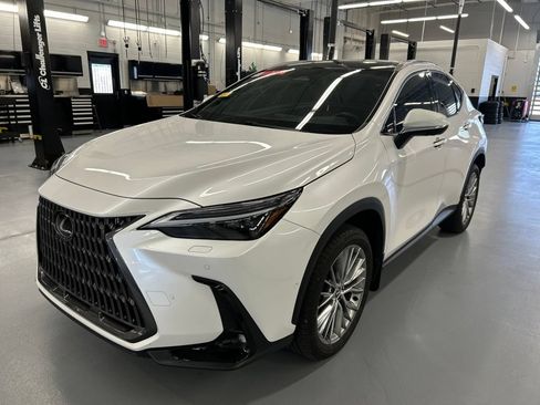 Used 2025 Lexus NX 350h AWD w/ Accessory Package (2T) image 6