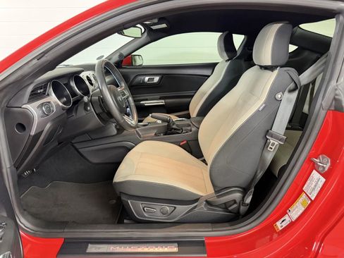 Used 2019 Ford Mustang GT w/ Equipment Group 301A RWD image 10