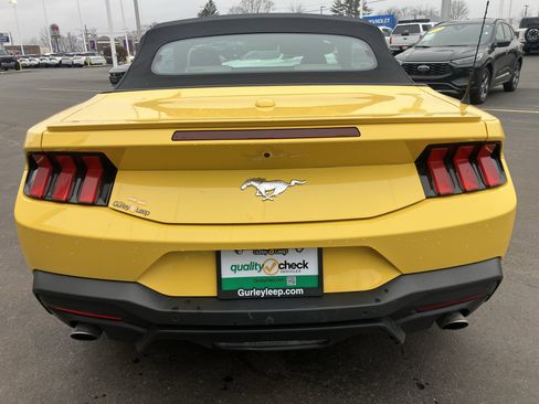 Used 2024 Ford Mustang Premium image 6