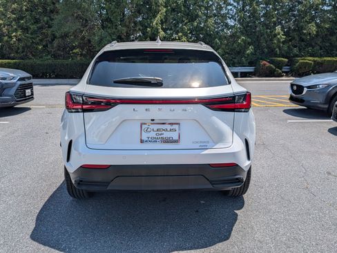 Used 2025 Lexus NX 350 AWD w/ Cold Area Package image 4