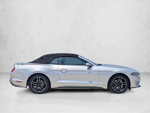 Used 2019 Ford Mustang Premium RWD image 4