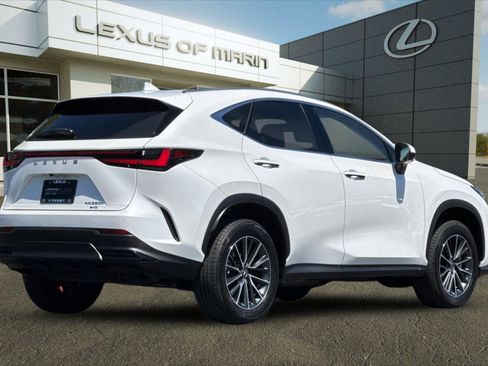 Used 2025 Lexus NX 350h AWD w/ Cold Area Package image 9