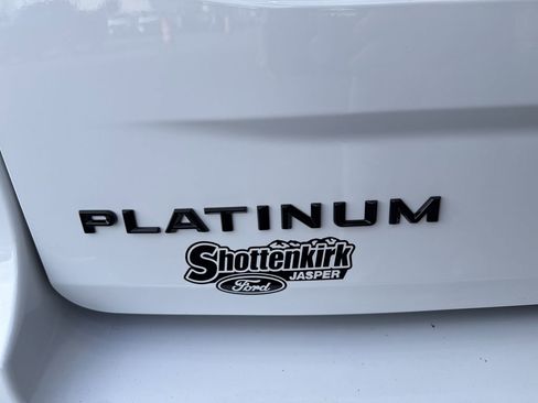 New 2025 Ford Expedition Platinum w/ Stealth Performance Package image 19