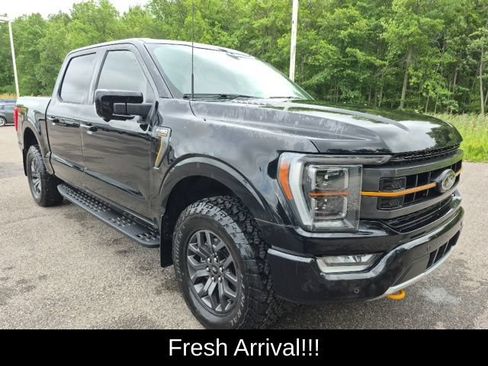 Used 2023 Ford F150 Tremor w/ Equipment Group 402A High AWD/4WD image 12