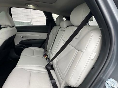Used 2025 Hyundai Tucson Limited image 13