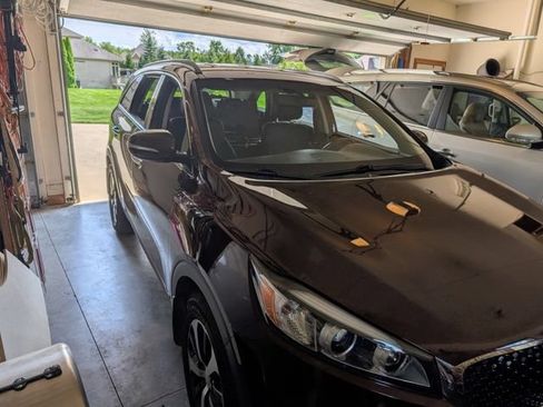 Used 2016 Kia Sorento EX w/ EX Premium Package AWD/4WD image 2