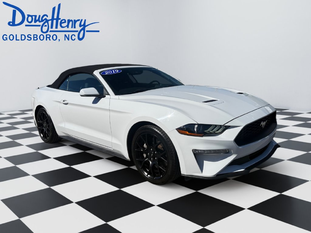 Used 2019 Ford Mustang Convertible w/ Ecoboost Performance Package RWD image 7