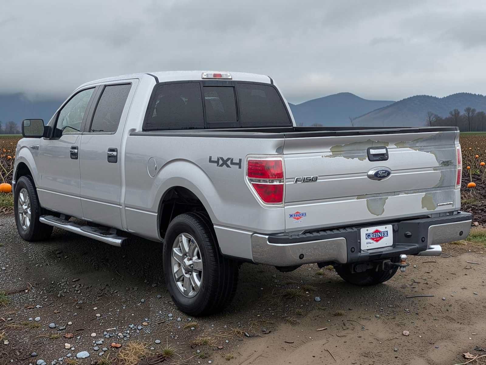 Used 2014 Ford F150 XLT w/ Equipment Group 302A Luxury AWD/4WD image 4