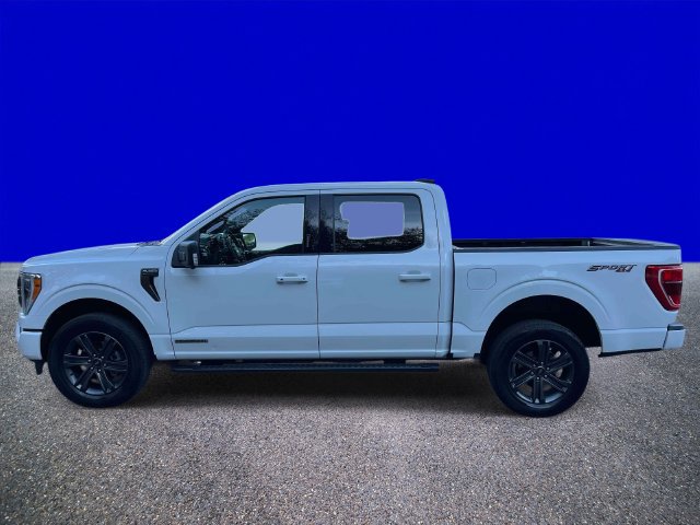 Certified 2023 Ford F150 XLT w/ Equipment Group 302A High AWD/4WD image 6