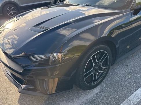 Used 2019 Ford Mustang Premium w/ Enhanced Security Package image 1