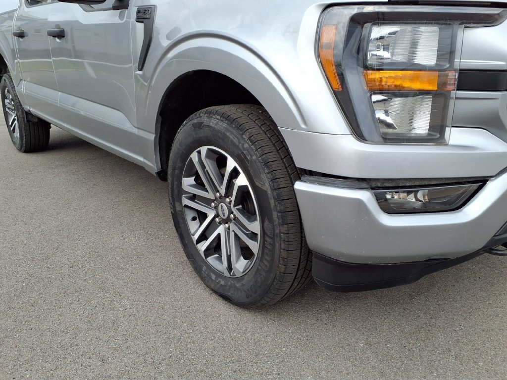 Used 2023 Ford F150 XL w/ STX Appearance Package AWD/4WD image 18