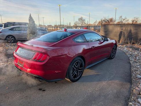 Used 2023 Ford Mustang GT Premium w/ Equipment Group 401A image 5