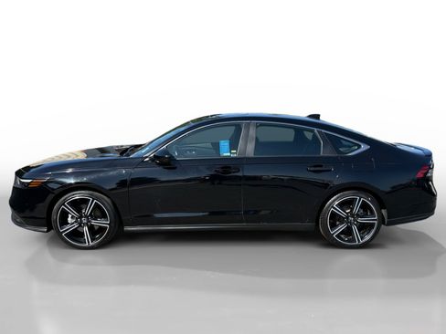 Used 2024 Honda Accord Sport image 2