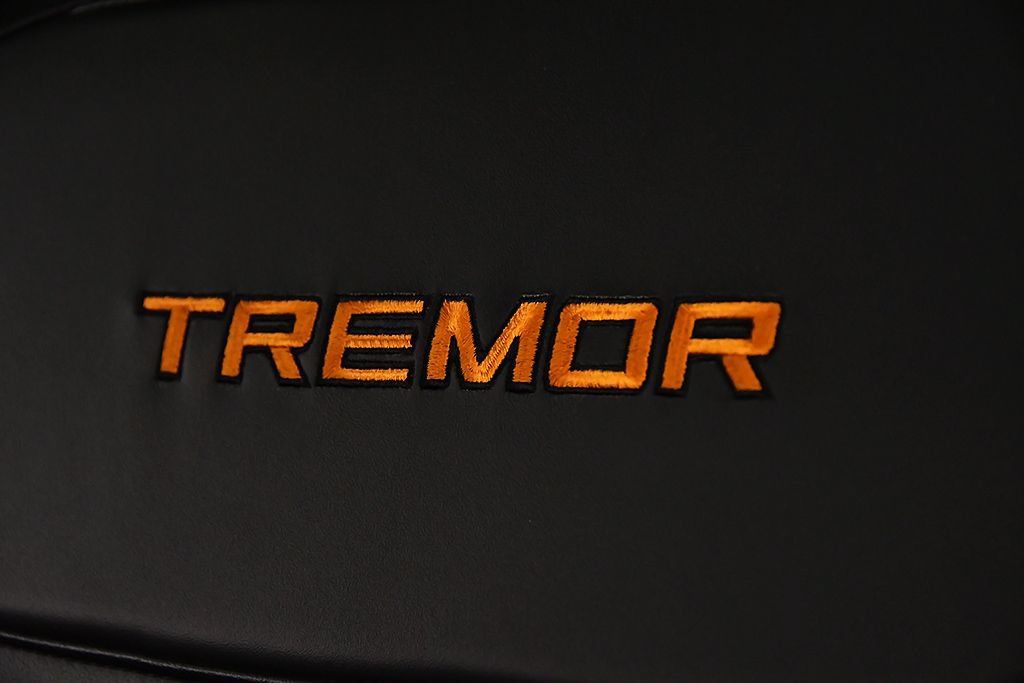 Used 2025 Ford Expedition Tremor AWD/4WD image 27