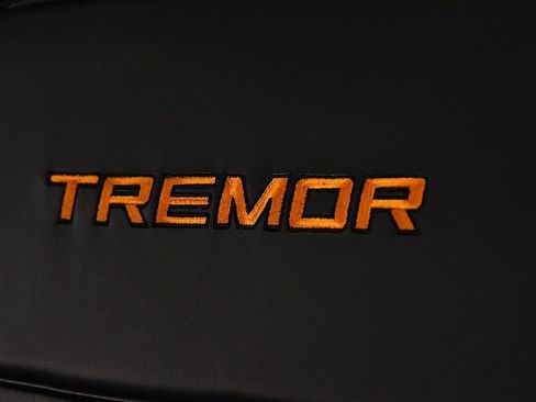 Used 2025 Ford Expedition Tremor AWD/4WD image 27