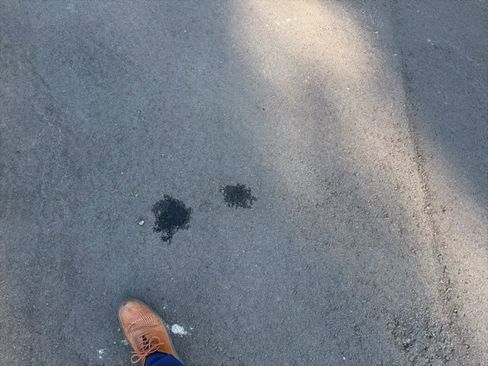 Used 2025 RAM ProMaster 2500 w/ Convenience Group image 6