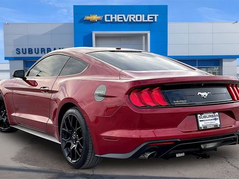 Used 2019 Ford Mustang Coupe w/ Ecoboost Performance Package image 12