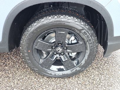 New 2026 Honda Ridgeline Black Edition