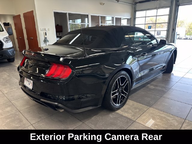 Used 2018 Ford Mustang Premium w/ Equipment Group 201A RWD image 12