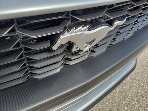 Certified 2024 Ford Mustang Premium image 7