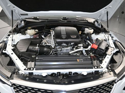 Used 2021 Cadillac CT4 Premium Luxury RWD image 29