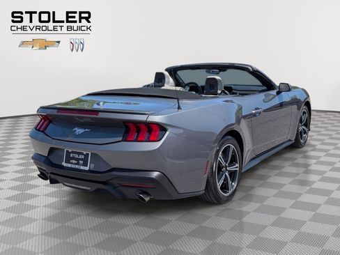 Used 2024 Ford Mustang Premium RWD image 5