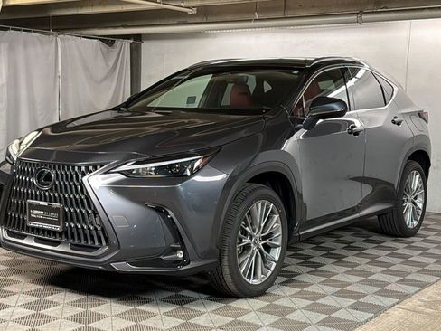 Certified 2025 Lexus NX 350 AWD w/ Cold Area Package image 2