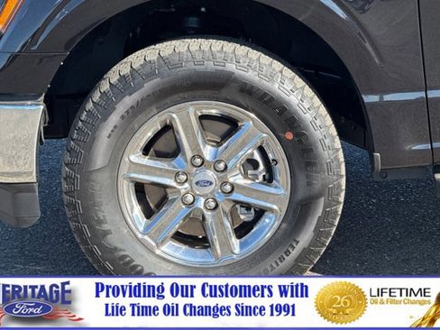 Used 2025 Ford F150 XLT w/ Equipment Group 301A Standard AWD/4WD image 24