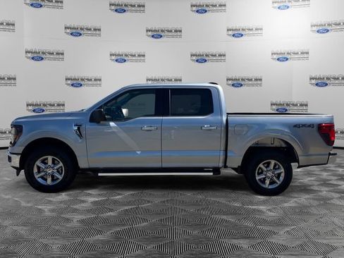 Used 2025 Ford F150 XLT w/ Equipment Group 301A Standard AWD/4WD image 2
